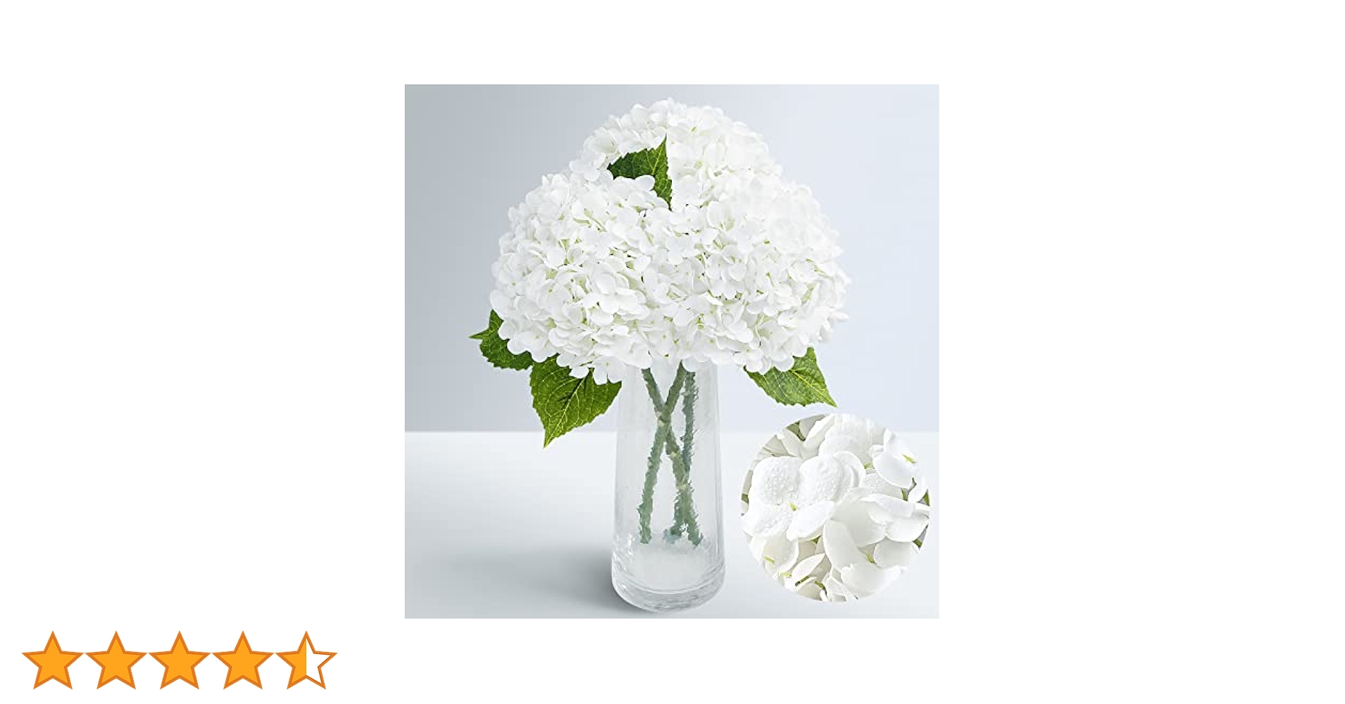 Hydrangea4937　1003 Hydrangea, 30 Stems | Costco